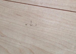 フローリングの汚れをパルスイクロスで