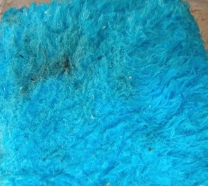 パルスイクロス 汚れ