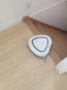 ルーロ　階段　身を乗り出す