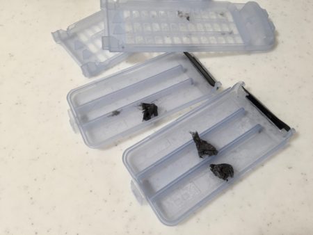 糸くずフィルターゴミ